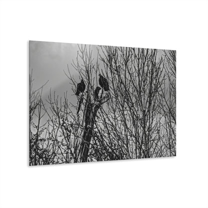 Black & White Buzzards in Winter Trees French Cleat Hanging - - Home Decor
