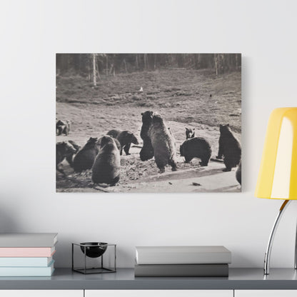 Yellowstone Grizzly Bears Satin Canvas Stretched 24″ x 18″ (Horizontal) 1.5"