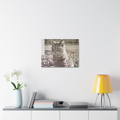 Caledonia Stretched Canvas 1.5" 24″ x 18″