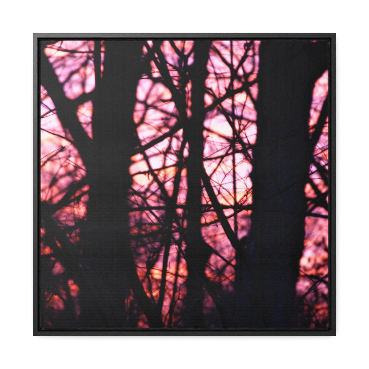 Dawn Gallery Canvas Wraps, Square Frame