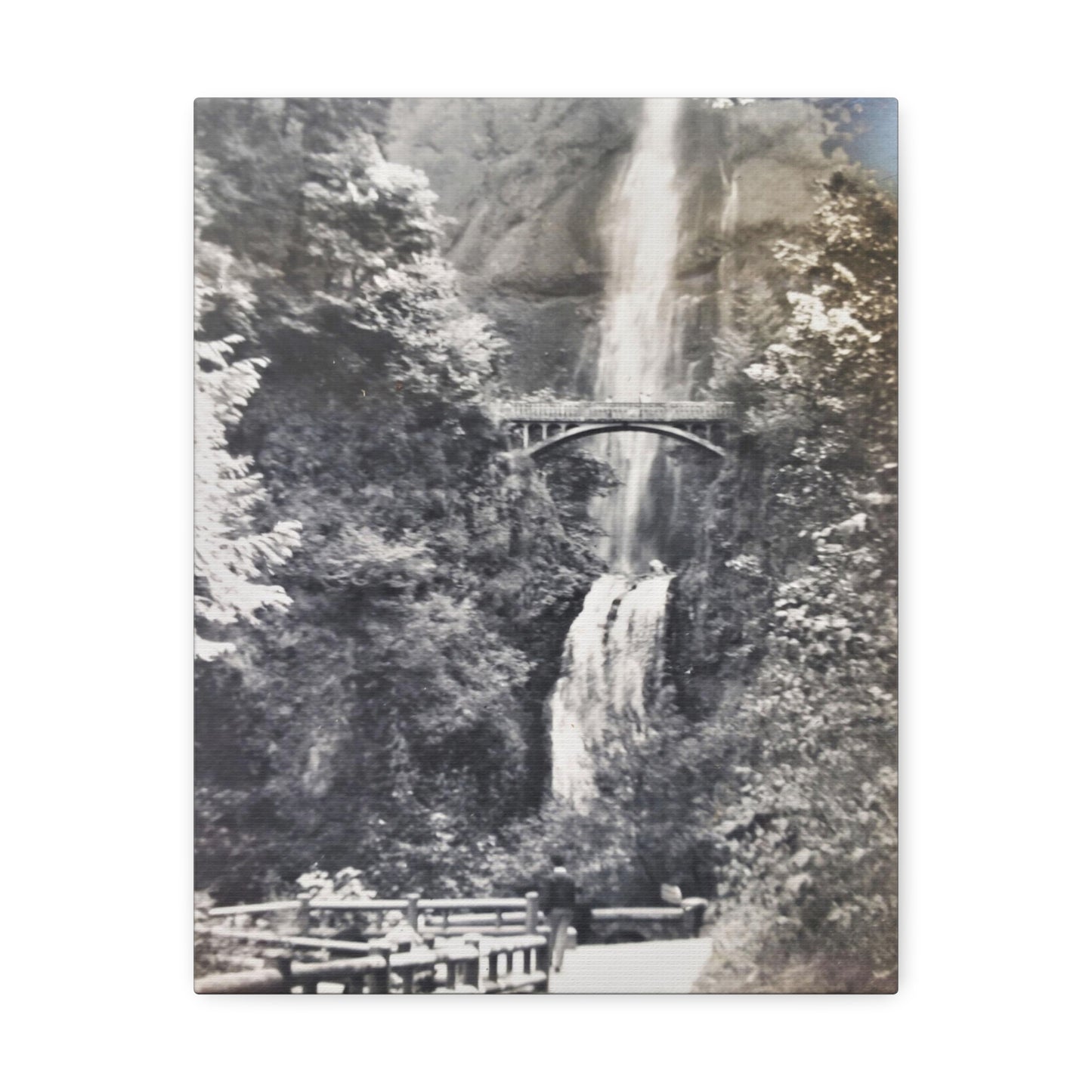 Multnomah Falls Oregon Stretched Canvas