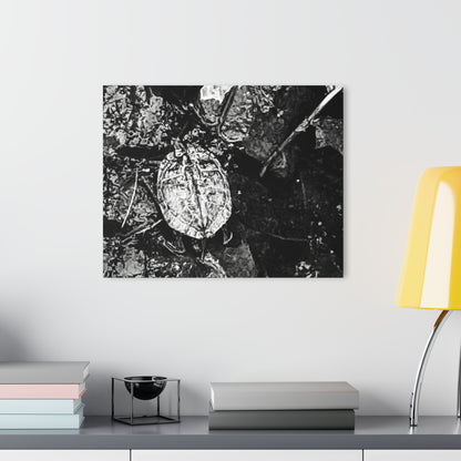 Black & White Turtle Macro Acrylic Print — Modern Nature Wall Art French Cleat Hanging - - Home Decor