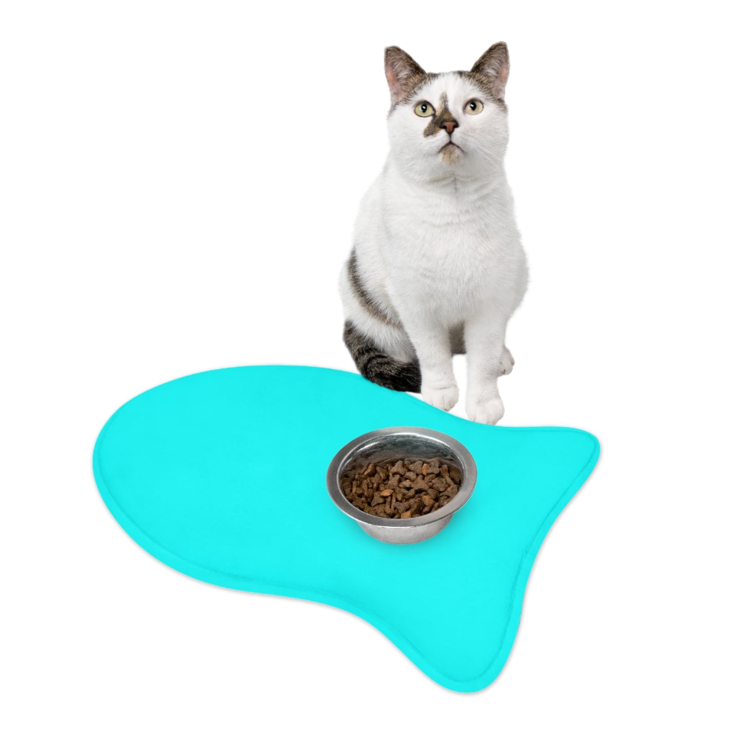 Aqua Blue Pet Feeding Mats