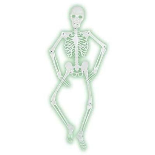 Mr Bones-A-Glo Skeleton Halloween Decor Prop Glow in the Dark Skeleton - - Costume
