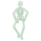 Mr Bones-A-Glo Skeleton Halloween Decor Prop Glow in the Dark Skeleton - - Costume