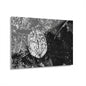 Black & White Turtle Macro Acrylic Print — Modern Nature Wall Art French Cleat Hanging - 30″ x 20″ (Horizontal) 0.25'' - Home Decor