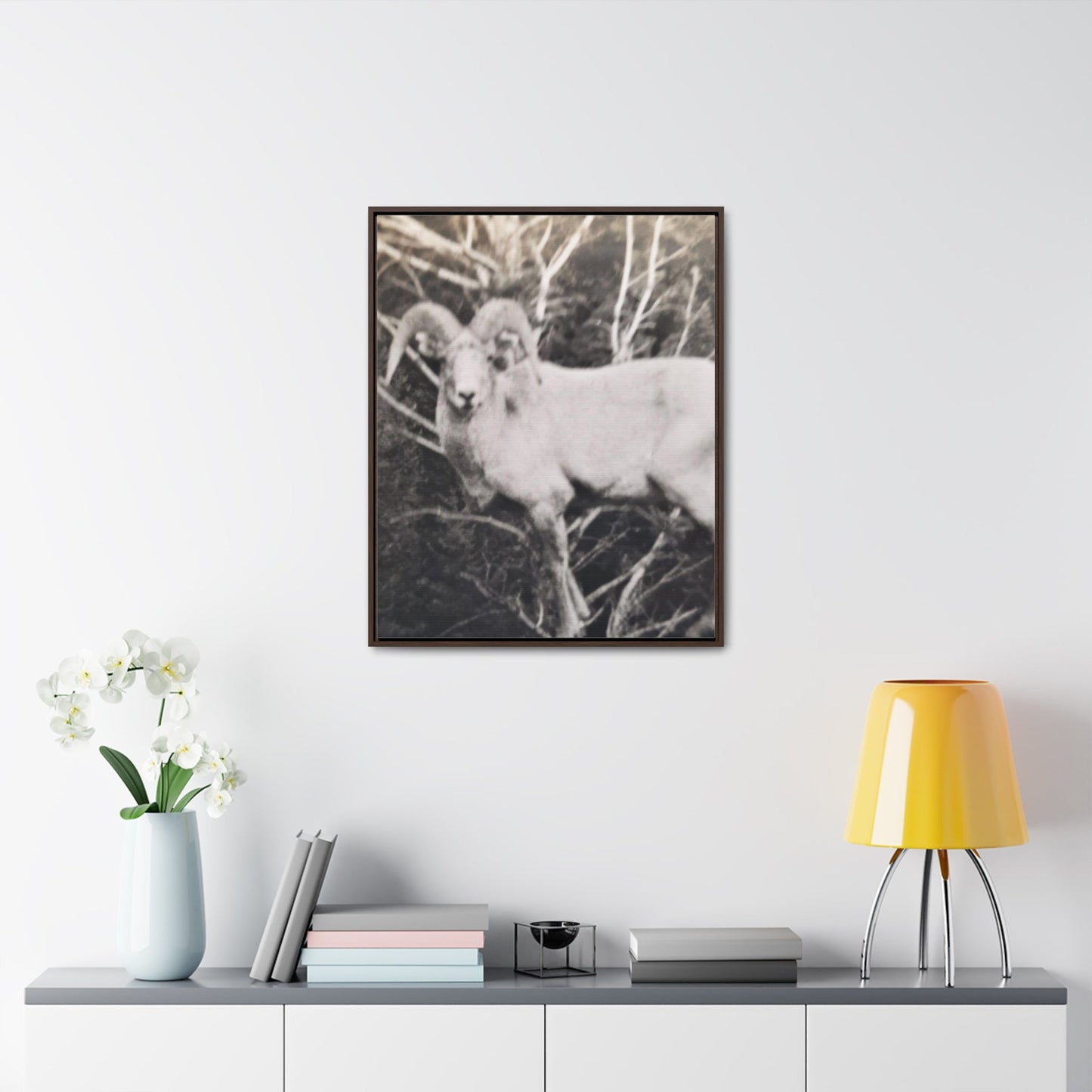 Yellowstone Big Horn Sheep Gallery Canvas Wraps Vertical Frame 24″ x 30″ Premium Gallery Wraps (1.25″) Walnut