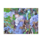 Macro Blue Canvas Gallery Wraps 40″ x 30″ 1.25"