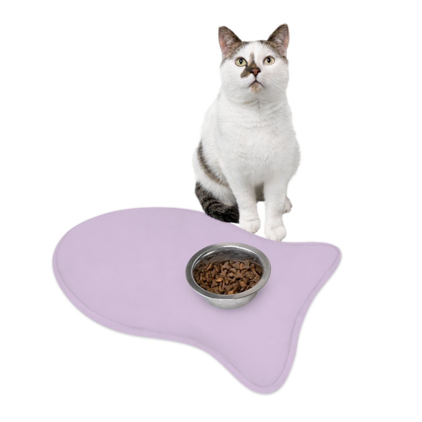 Blue Chalk Pet Feeding Mats