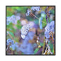 Macro Blue Gallery Canvas Wraps, Square Frame 30″ x 30″ Premium Gallery Wraps (1.25″)