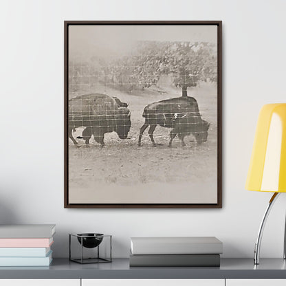 Buffalo at Redwood Falls Gallery Canvas Wraps Vertical Frame 20″ x 24″ Premium Gallery Wraps (1.25″) Walnut