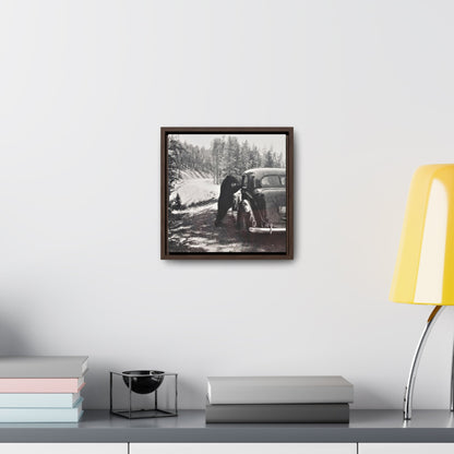 Yellowstone Bear Car Gallery Canvas Wraps Square Frame 10″ x 10″ Premium Gallery Wraps (1.25″) Walnut