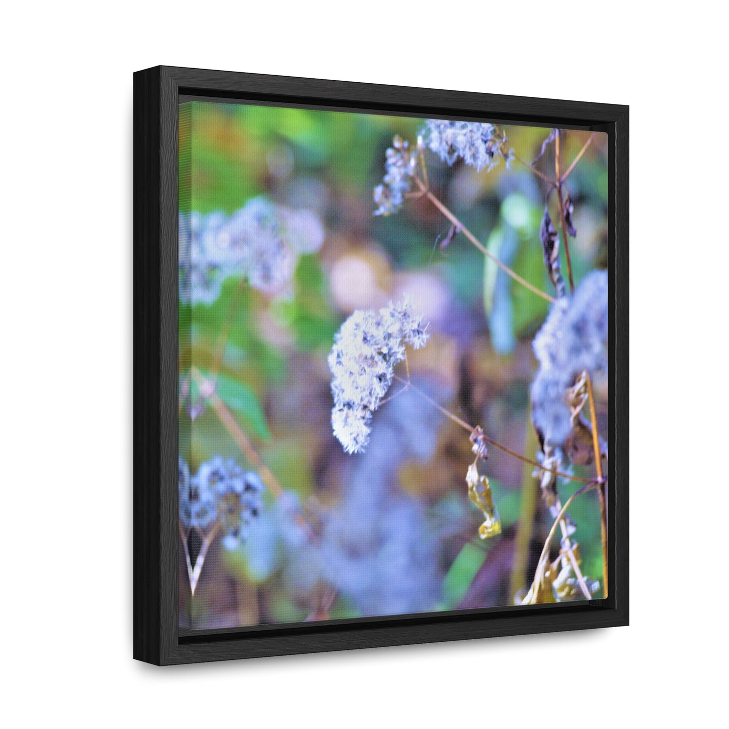 Macro Blue Gallery Canvas Wraps, Square Frame