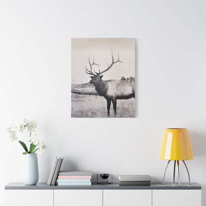 Yellowstone Bull Elk Satin Canvas Stretched 24" x 30" (Vertical) 1.5"