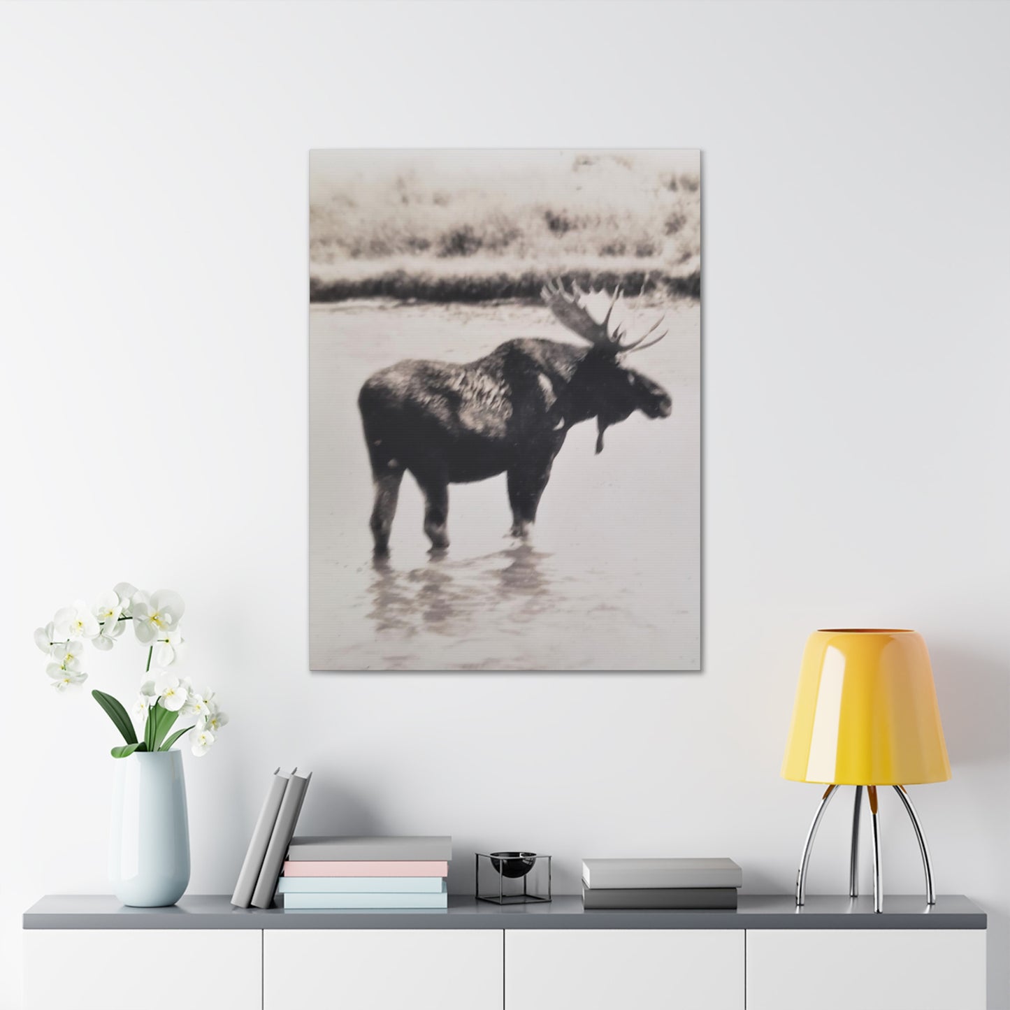 Yellowstone Bull Moose Canvas Gallery Wraps