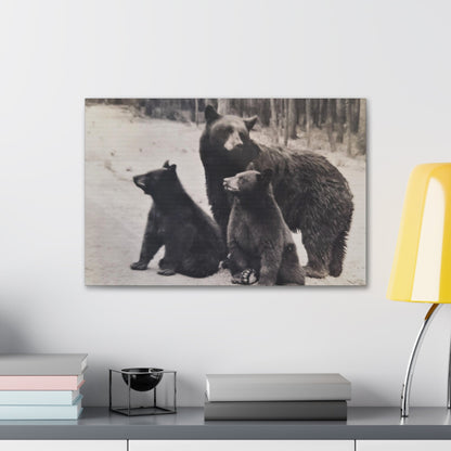 Yellowstone Black Bears Canvas Gallery Wraps 24″ x 16″ 1.25"