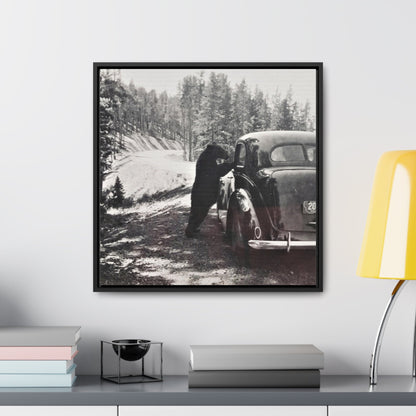 Yellowstone Bear Car Gallery Canvas Wraps Square Frame 20″ x 20″ Premium Gallery Wraps (1.25″) Black