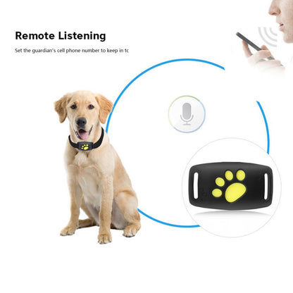 Pet GPS Tracker Collar - - collar