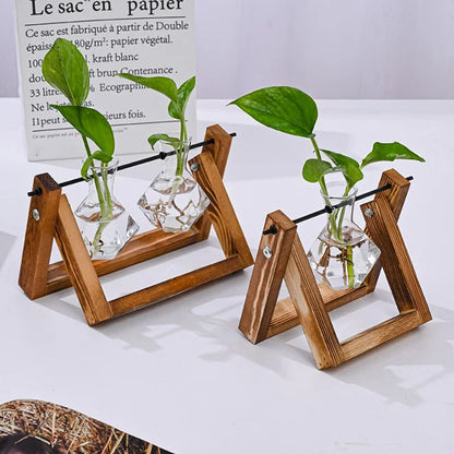 Glass Planter Bulb Vase Desktop Air Plant Terrarium With Solid Wood Stand