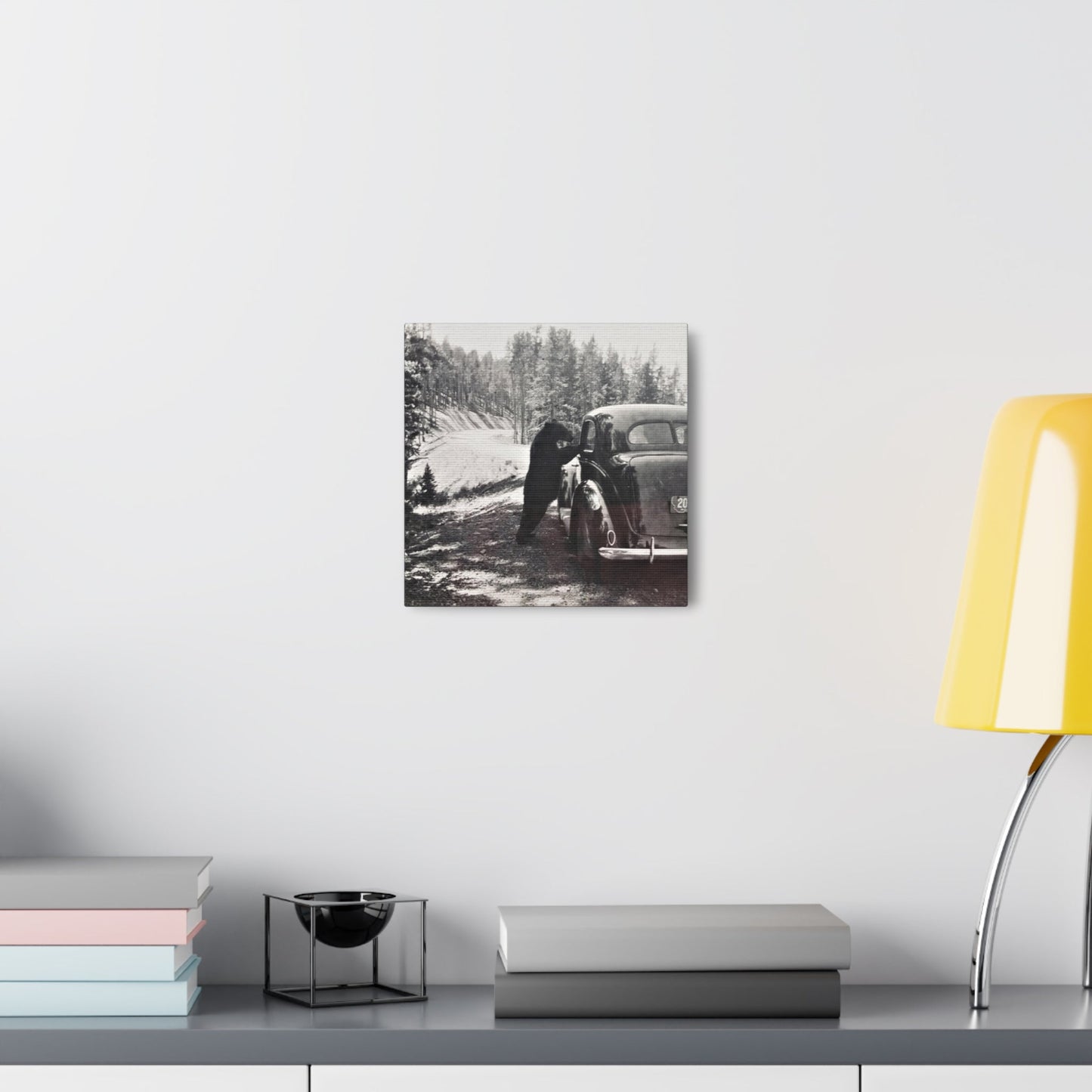 Yellowstone Bear Car Canvas Gallery Wraps 10″ x 10″ 1.25"