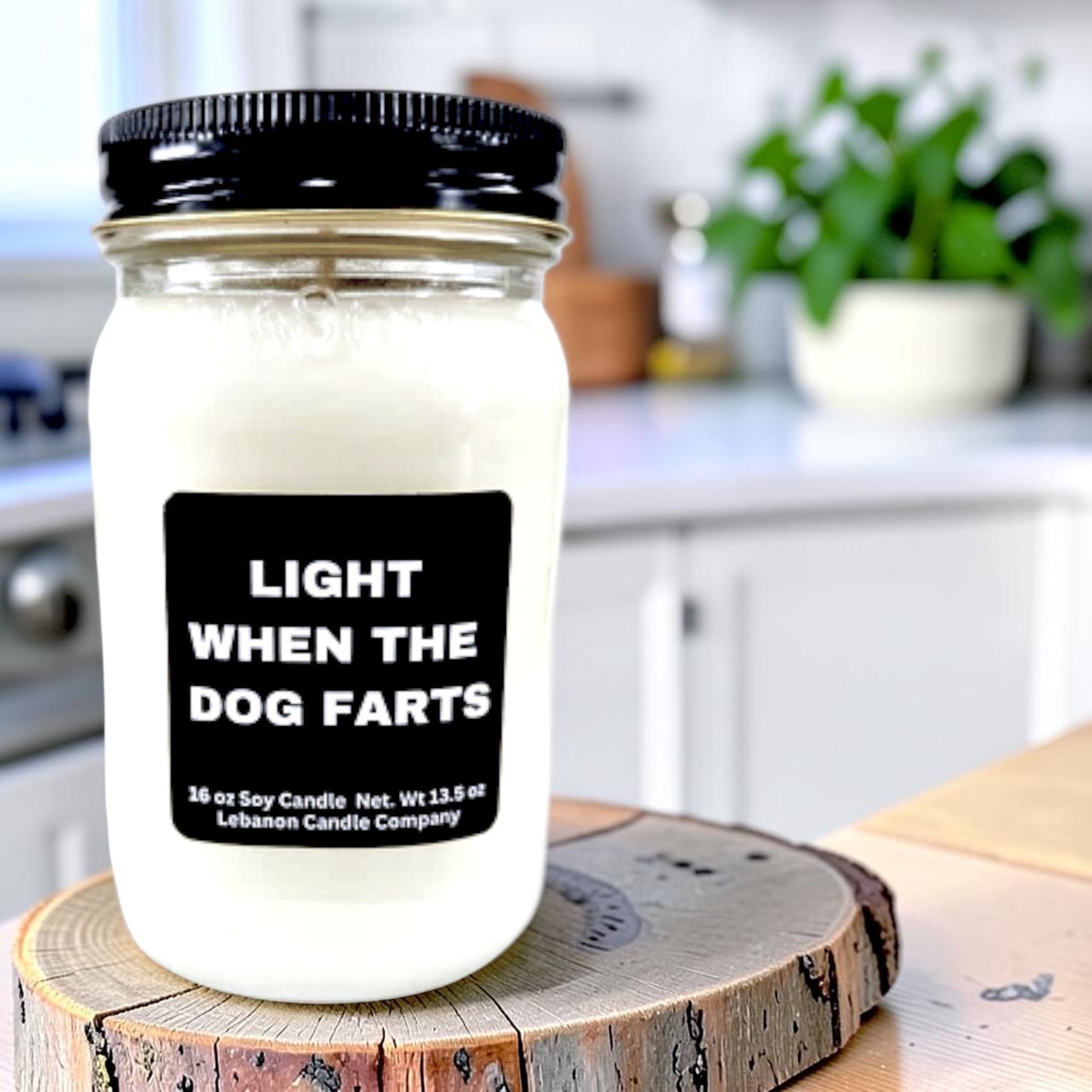 Light When The Dog Farts Funny Candle - - Candles & Melts