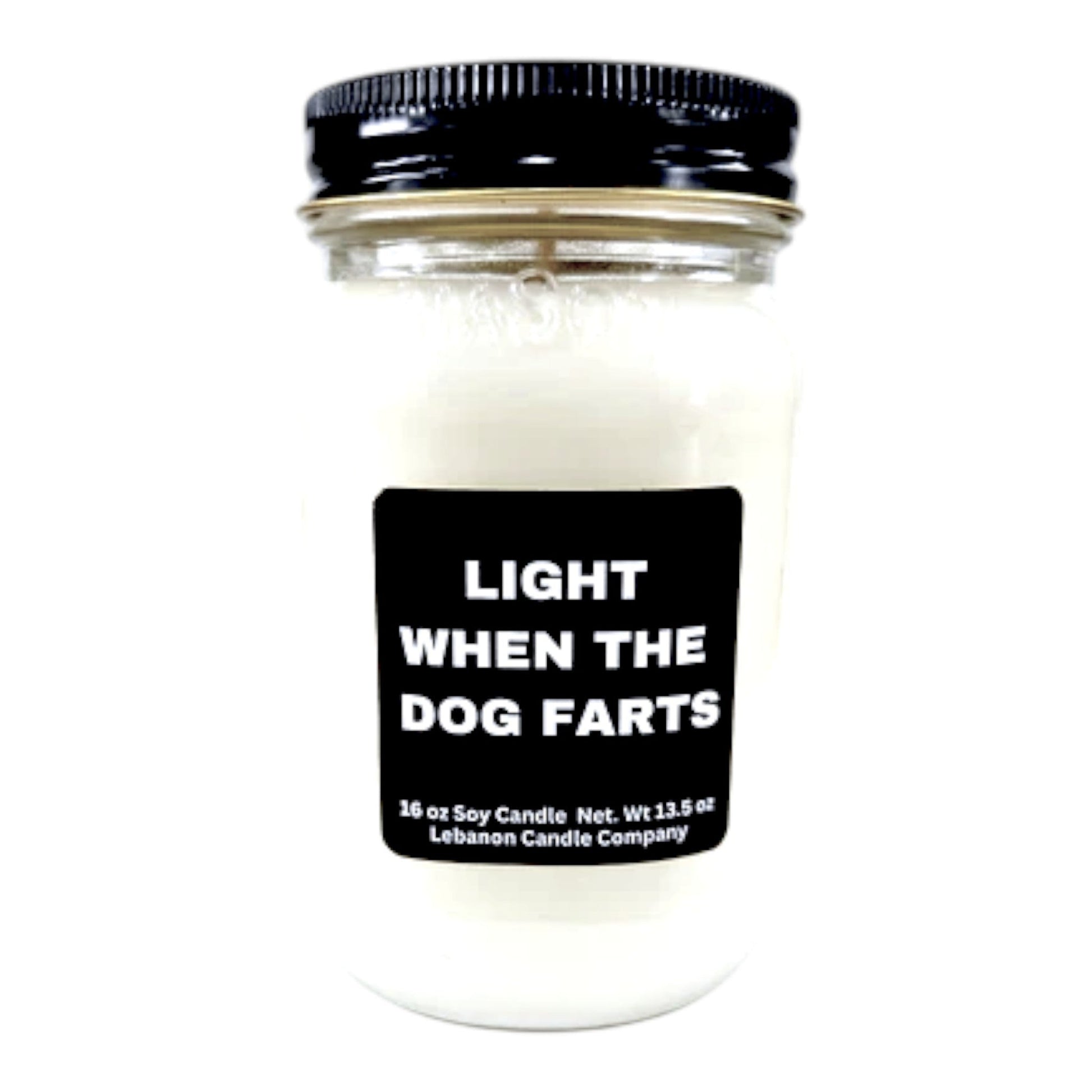 Light When The Dog Farts Funny Candle - - Candles & Melts