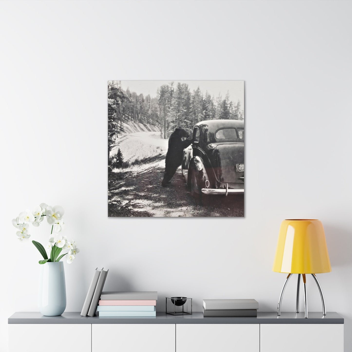 Yellowstone Bear Car Canvas Gallery Wraps 30″ x 30″ 1.25"
