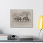 Buffalo at Redwood Falls Canvas Gallery Wraps 20″ x 16″ 1.25"
