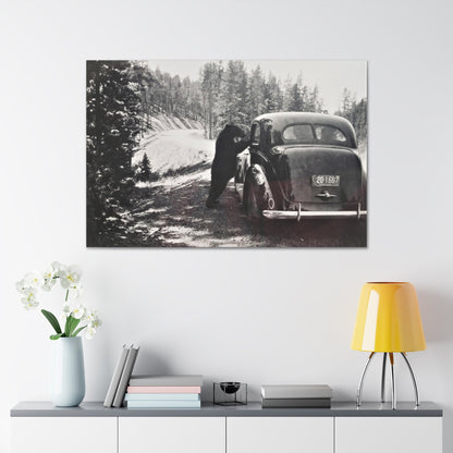 Yellowstone Bear Car Canvas Gallery Wraps 48″ x 32″ 1.25"