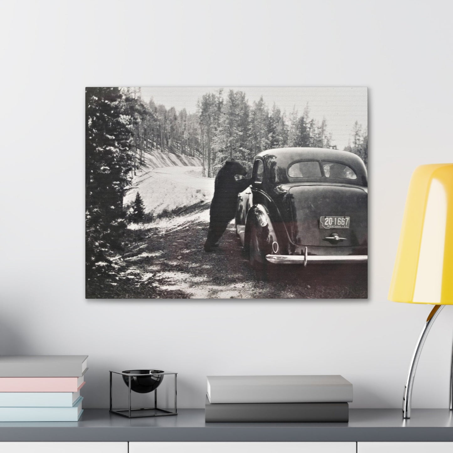 Yellowstone Bear Car Canvas Gallery Wraps 24″ x 18″ 1.25"