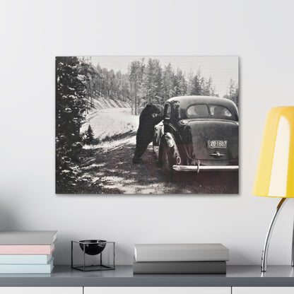 Yellowstone Bear Car Canvas Gallery Wraps 24″ x 18″ 1.25"