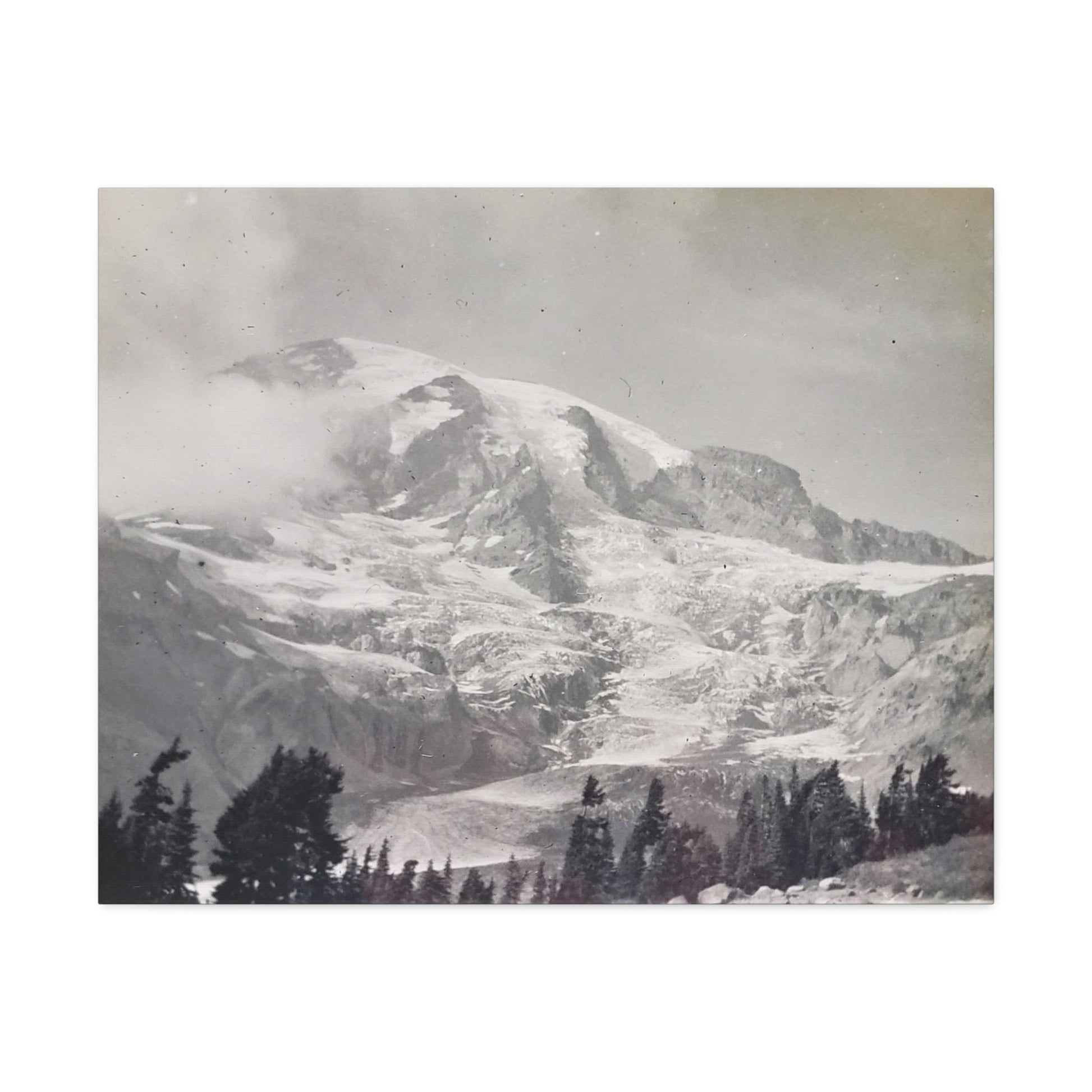 Mount Rainier Stretched Canvas