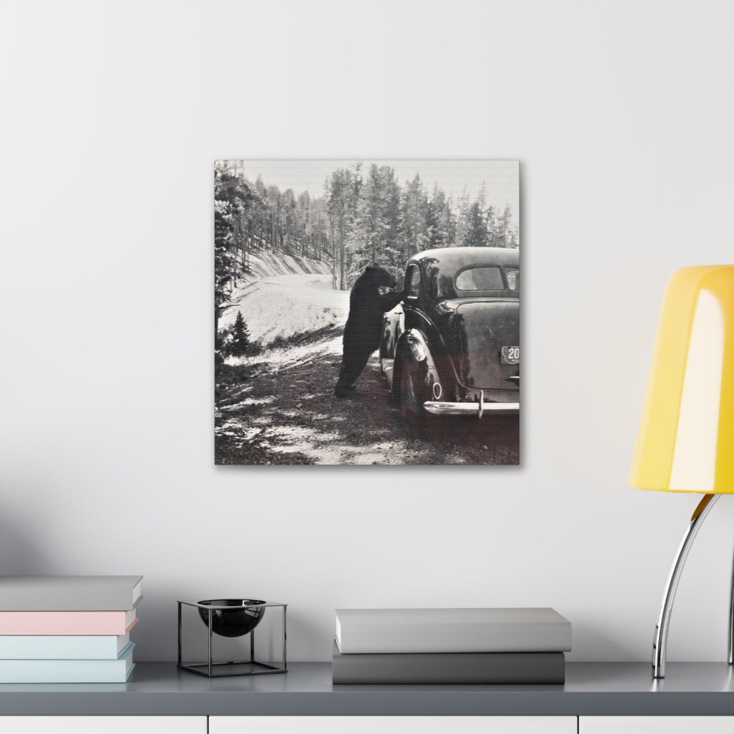Yellowstone Bear Car Canvas Gallery Wraps 16″ x 16″ 1.25"