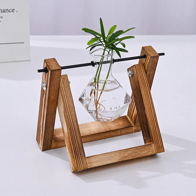 Glass Planter Bulb Vase Desktop Air Plant Terrarium With Solid Wood Stand