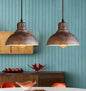 Retro Industrial Farmhouse Modern Design Hanging Lights Vintage Pendant Light