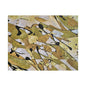 Gold Rush Satin Canvas, Stretched 14″ x 11″ (Horizontal) 1.5"