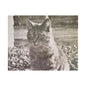 Caledonia Satin Canvas Stretched 14″ x 11″ (Horizontal) 1.5"