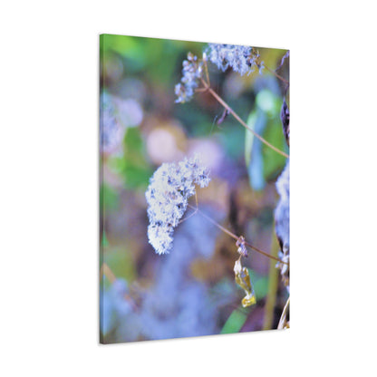 Macro Blue Canvas Gallery Wraps