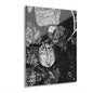 Black & White Turtle Macro Acrylic Print — Modern Nature Wall Art French Cleat Hanging - 16″ x 20″ (Vertical) 0.25'' - Home Decor