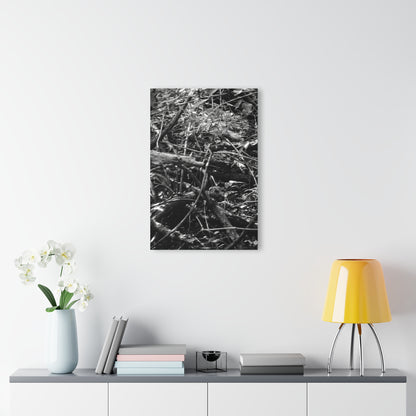 Black & White Deep Timber Path Acrylic Print French Cleat Hanging - - Home Decor
