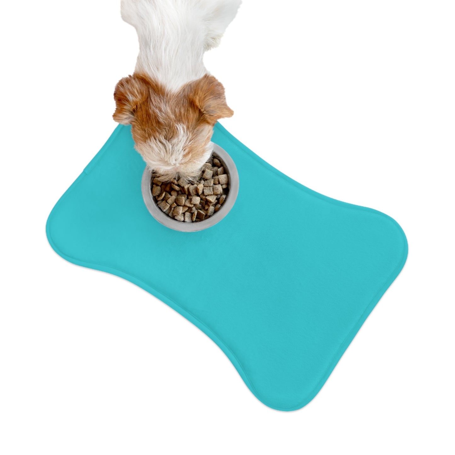 Teal Pet Feeding Mats