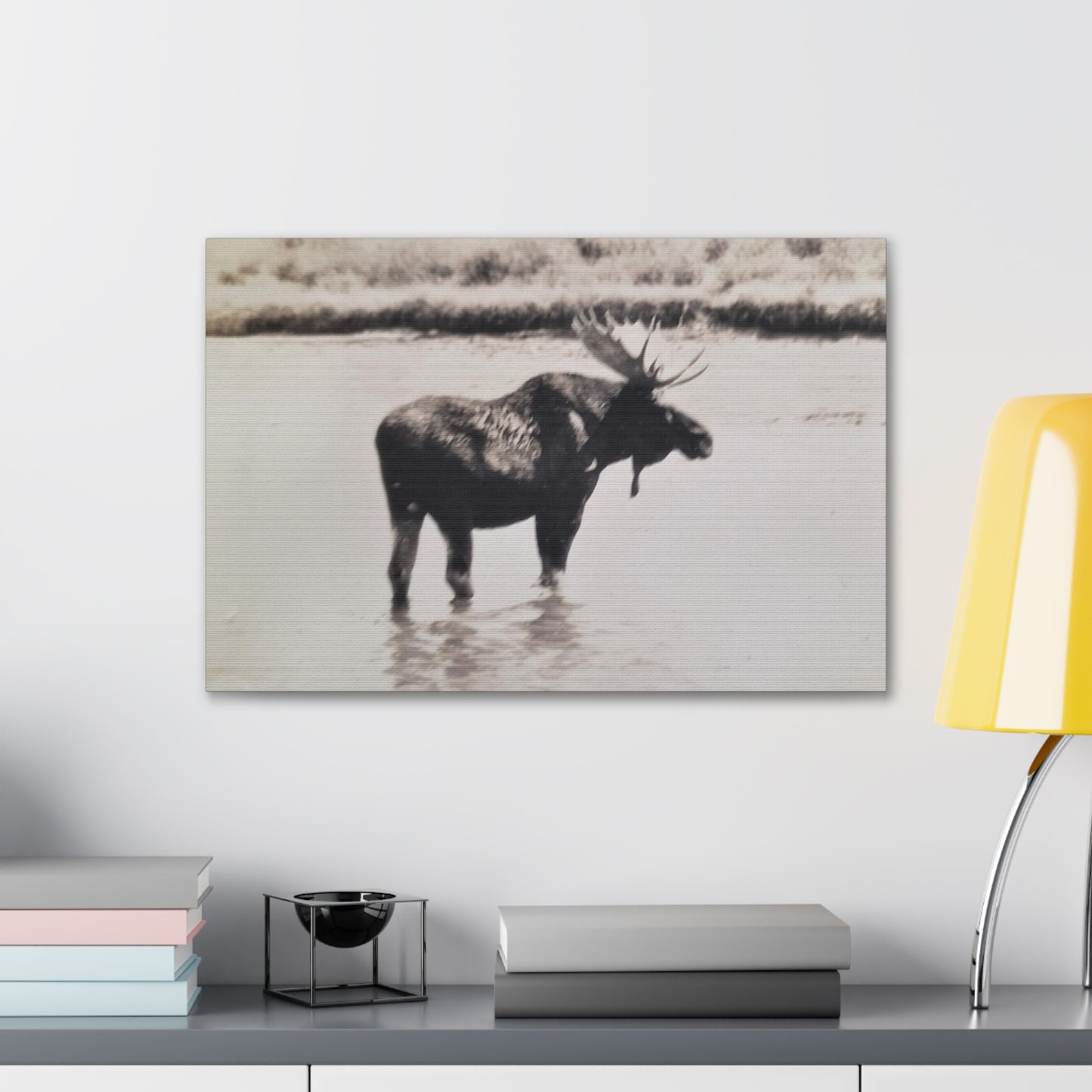 Yellowstone Bull Moose Canvas Gallery Wraps