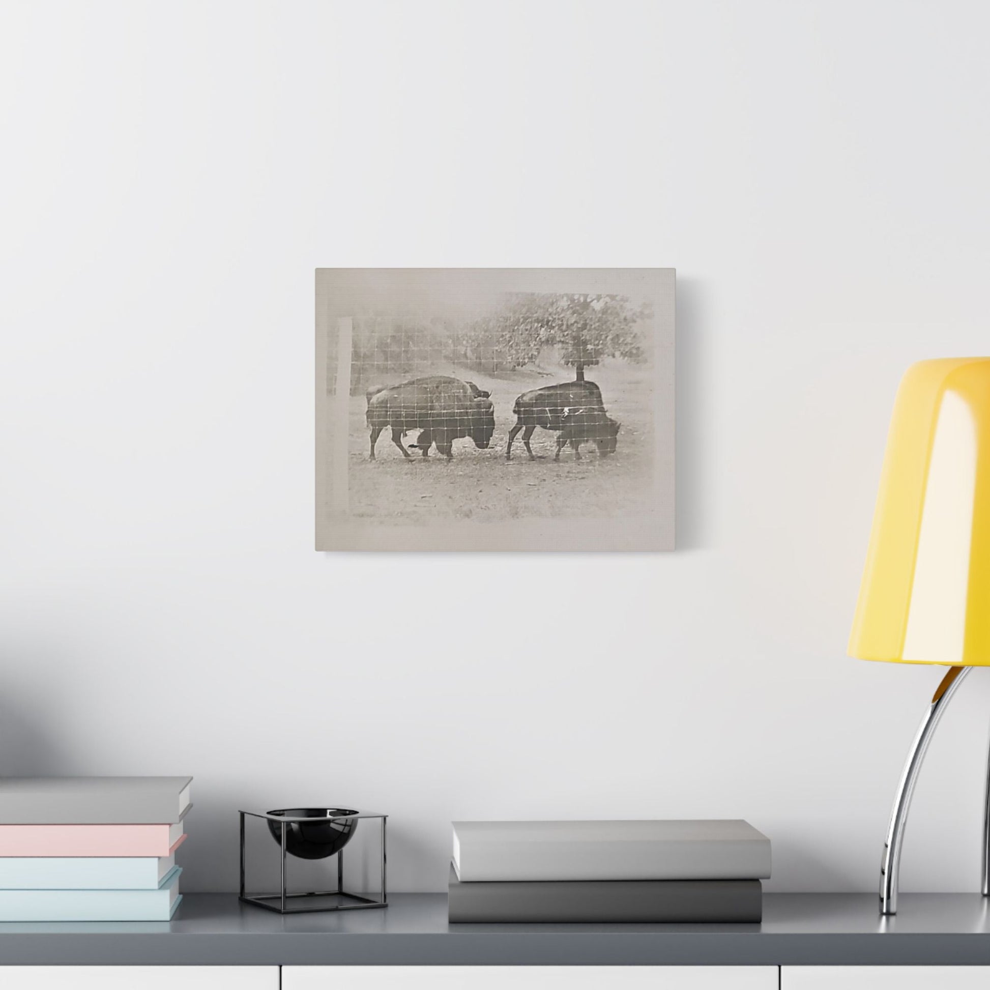 Buffalo at Redwood Falls Satin Canvas Stretched - 14″ x 11″ (Horizontal) 1.5" - Canvas