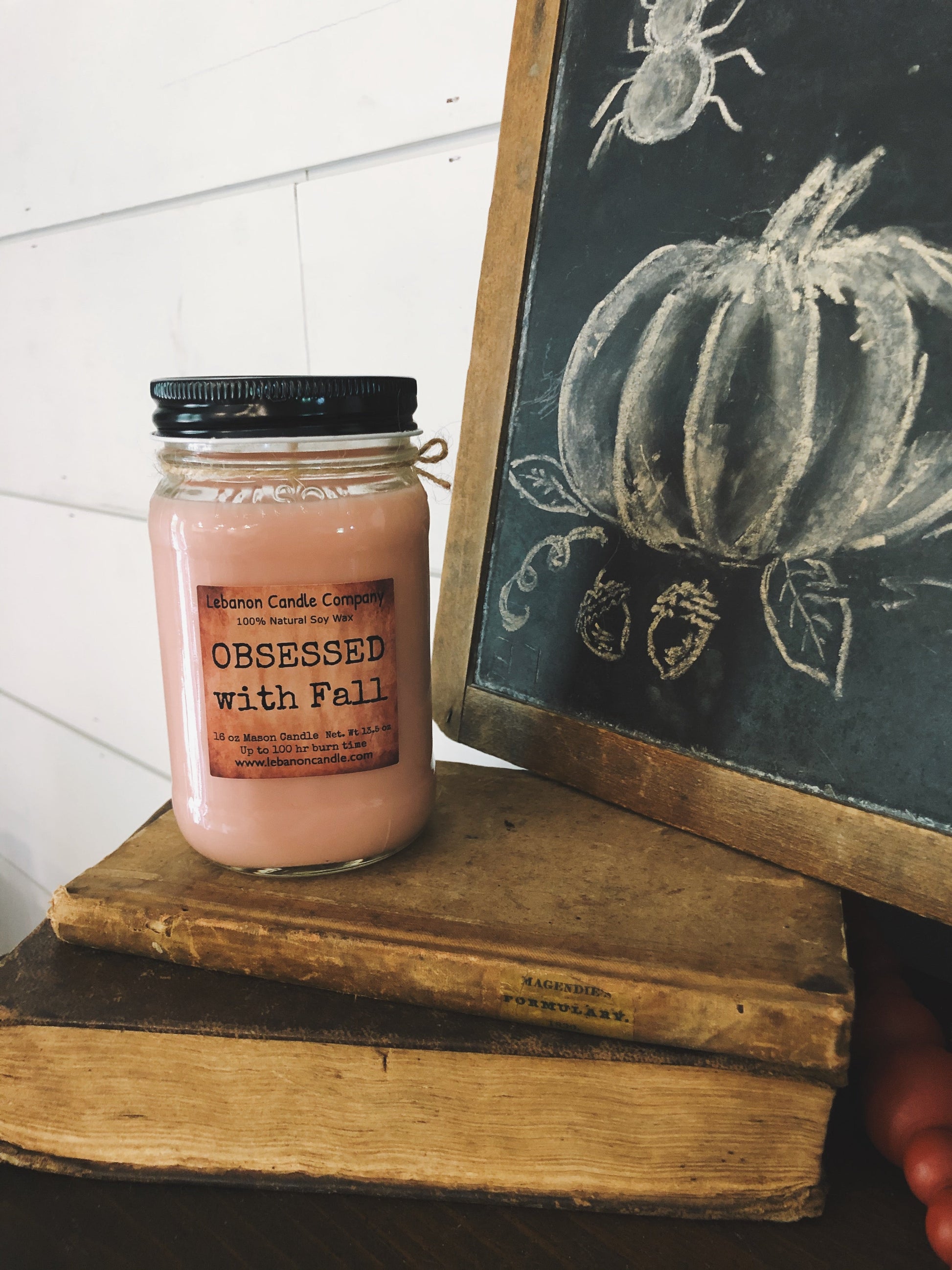OBSESSED with Fall Candle - - Candles & Melts