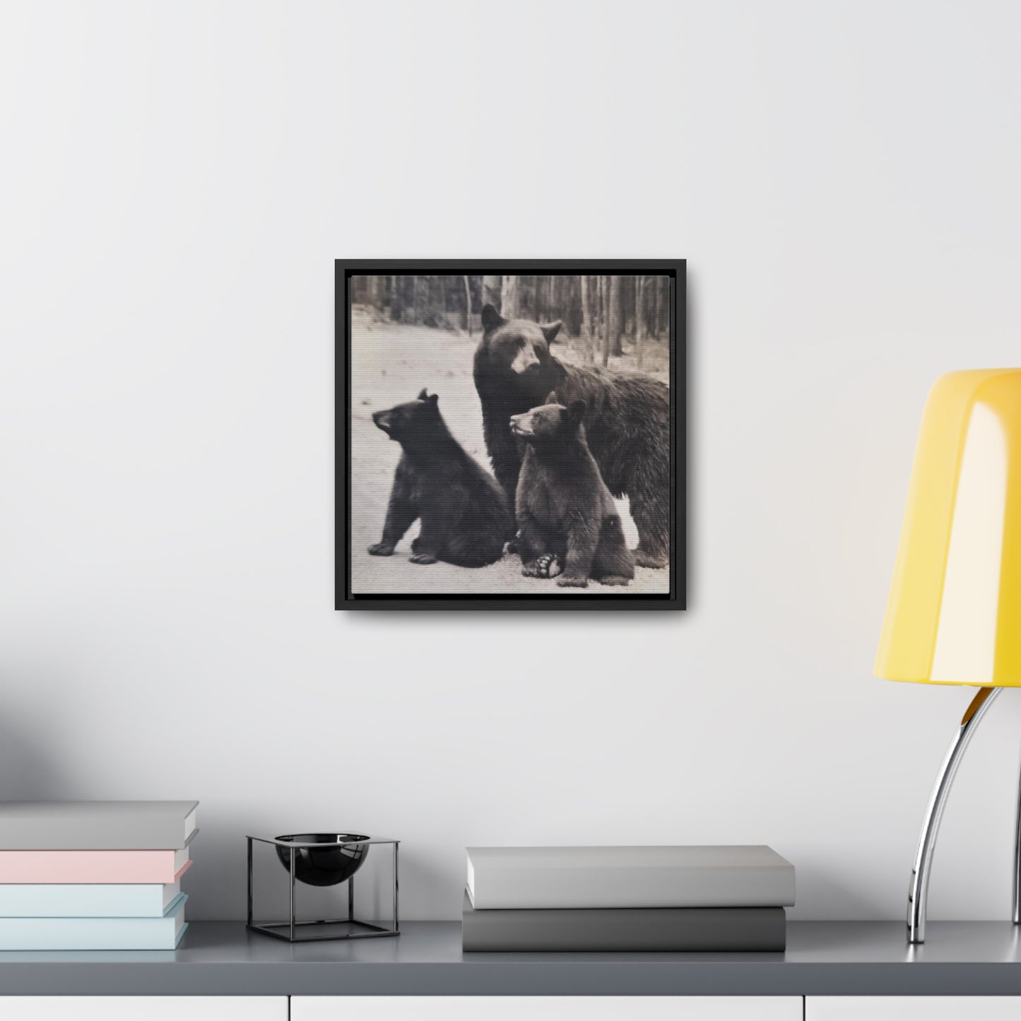 Yellowstone Black Bears Gallery Canvas Wraps, Square Frame