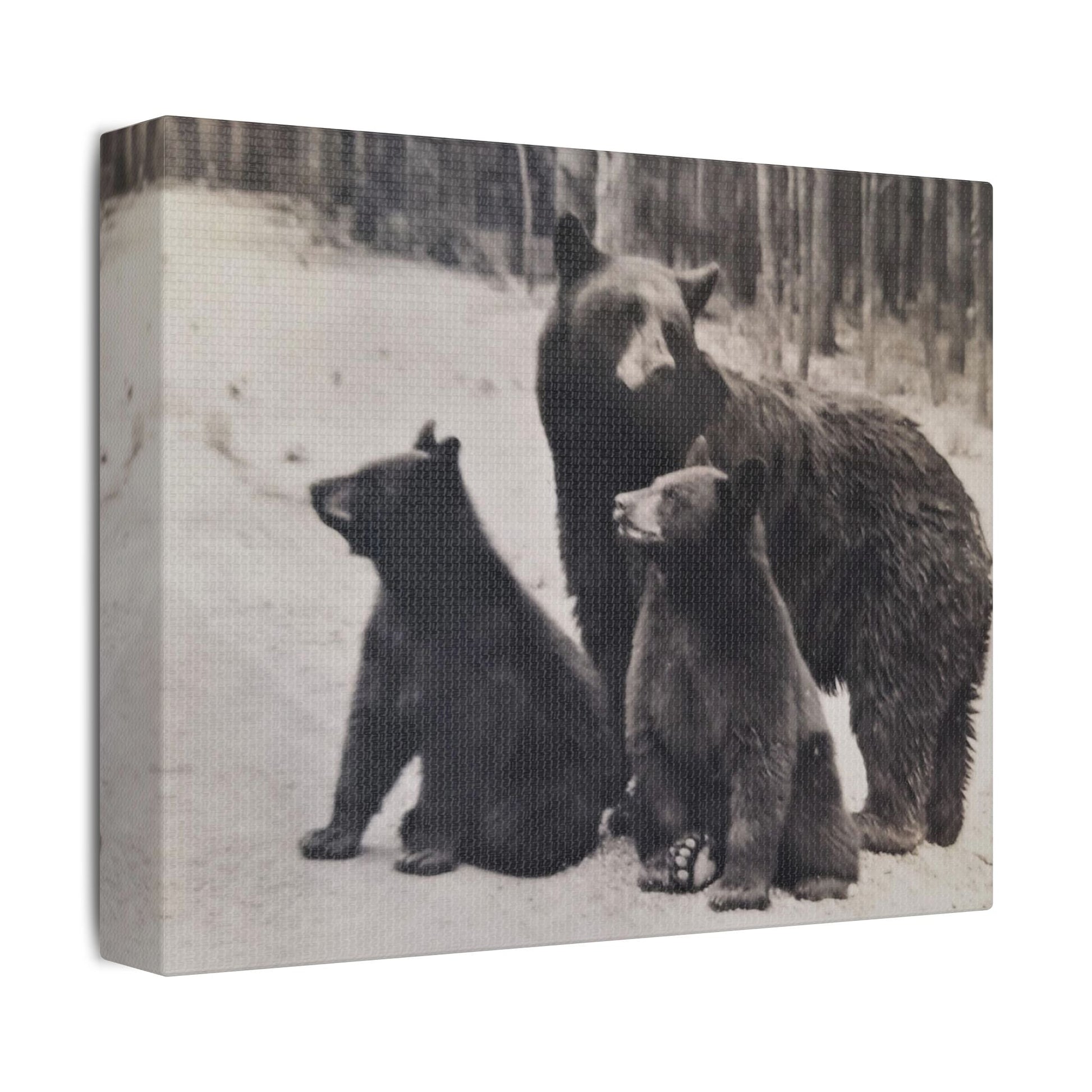Yellowstone Black Bears Satin Canvas Stretched