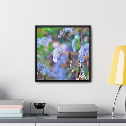 Macro Blue Gallery Canvas Wraps, Square Frame