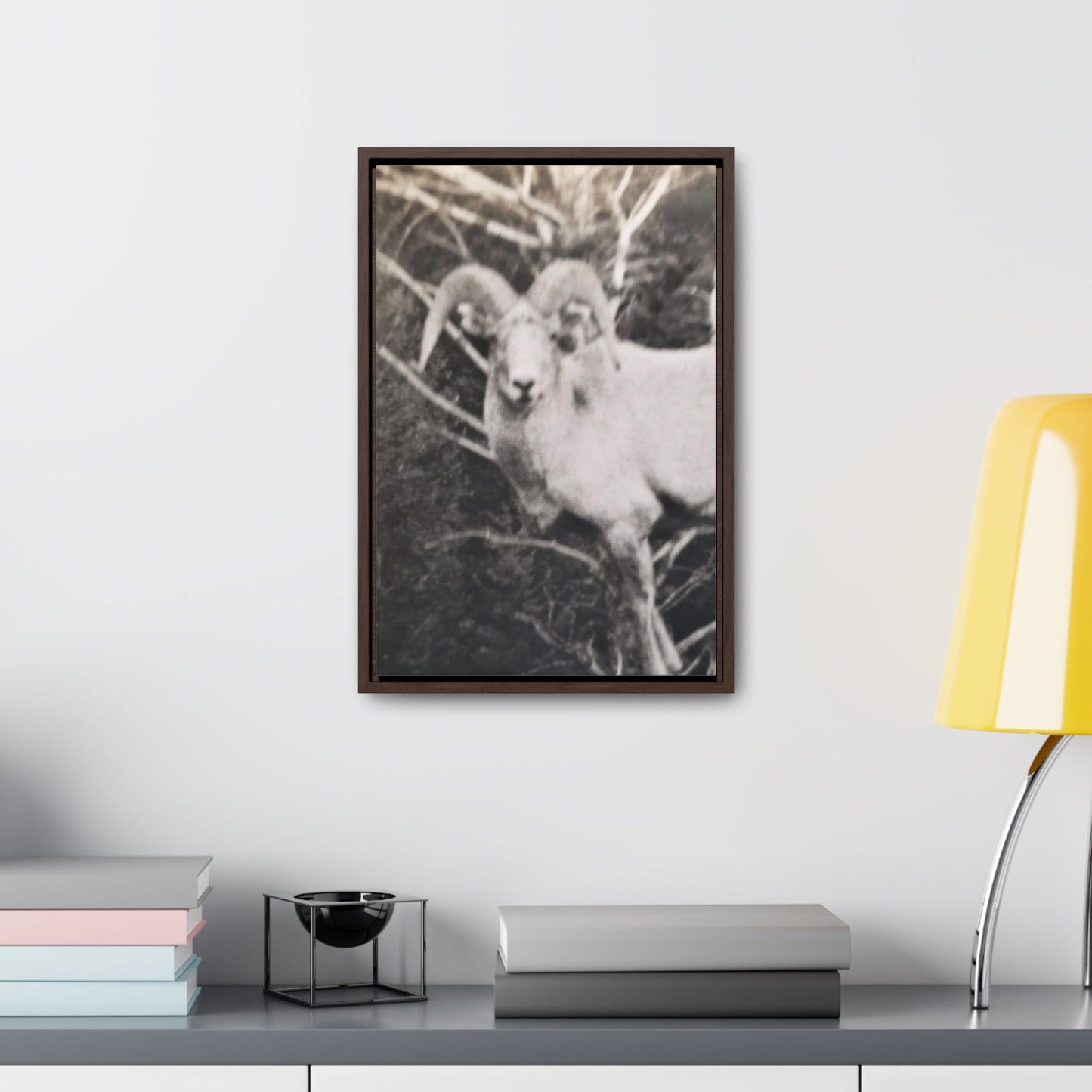 Yellowstone Big Horn Sheep Gallery Canvas Wraps Vertical Frame 12″ x 18″ Premium Gallery Wraps (1.25″) Walnut
