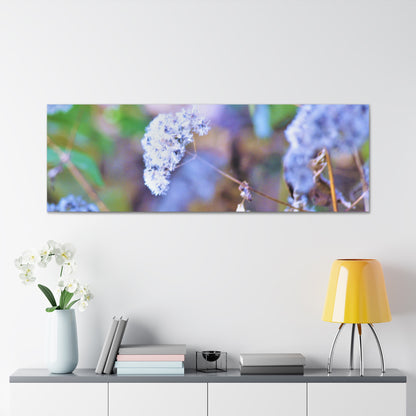 Macro Blue Canvas Gallery Wraps