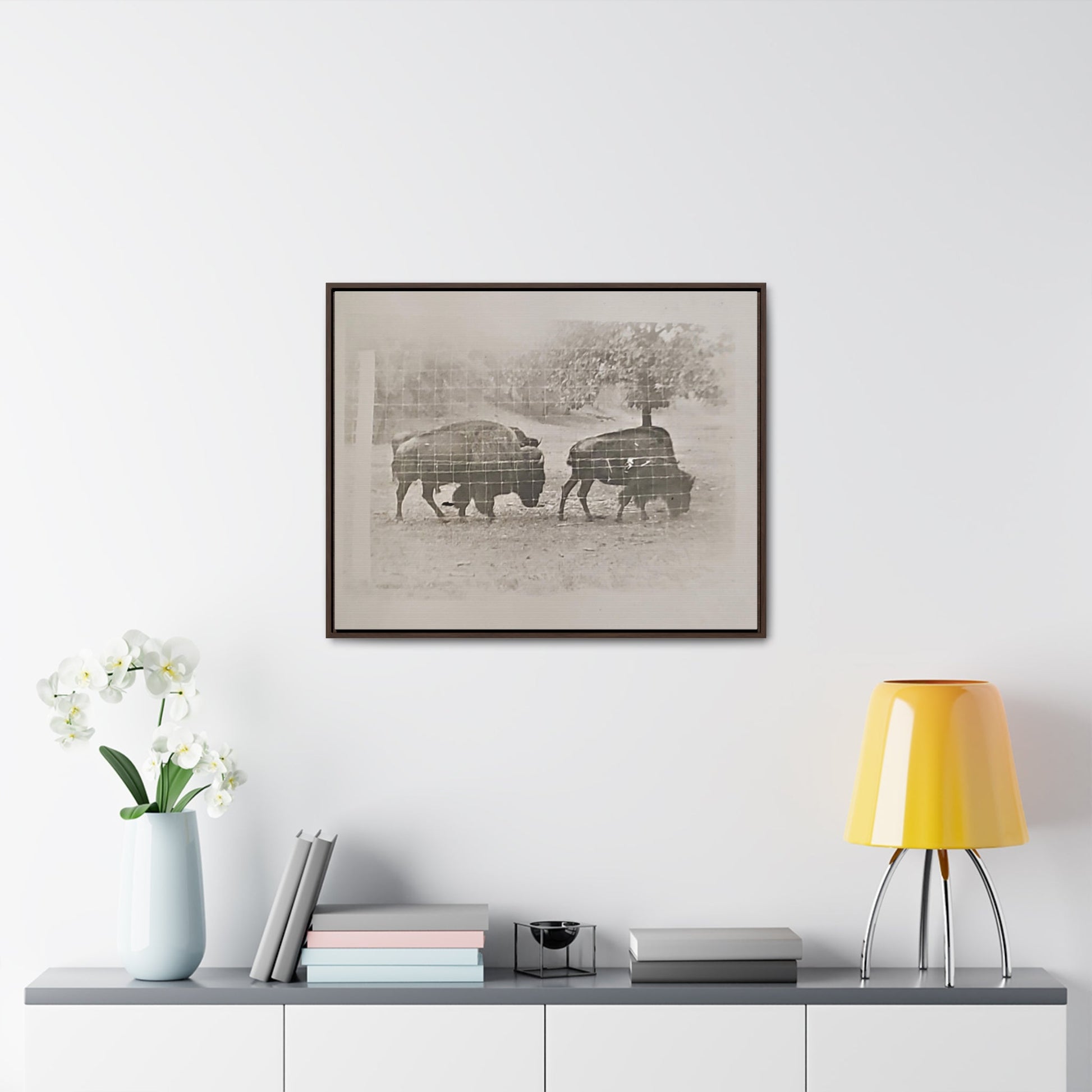 Buffalo at Redwood Falls Gallery Canvas Wraps Horizontal Frame 30″ x 24″ Walnut Premium Gallery Wraps (1.25″)